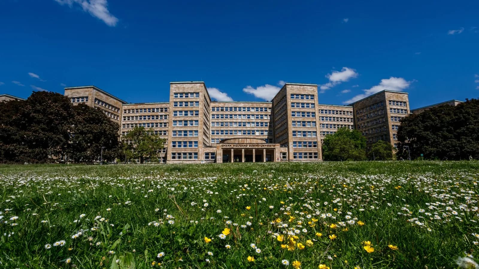 Goethe Üniversitesi (Goethe-Universität Frankfurt am Main)