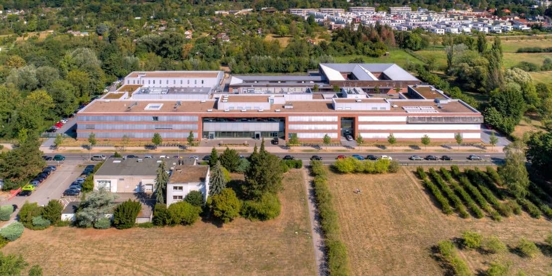 TiHo Hannover (Tierärztliche Hochschule Hannover)